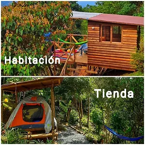 Camping Entre Arboles Camping